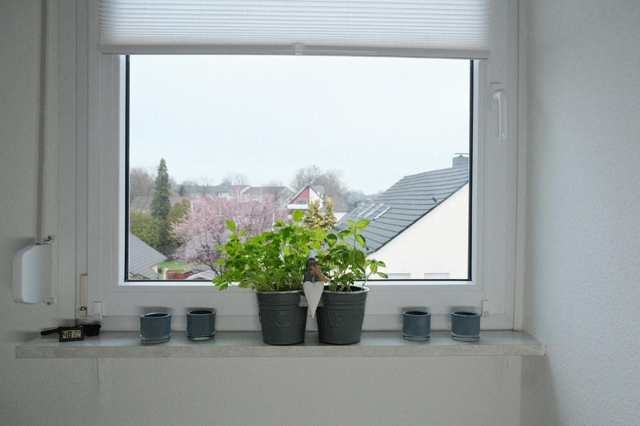 Ferienwohnung Bergischer Panoramasteig 라데보름발트 외부 사진